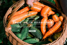 没有“土”的产品，只有不会设计的设计师